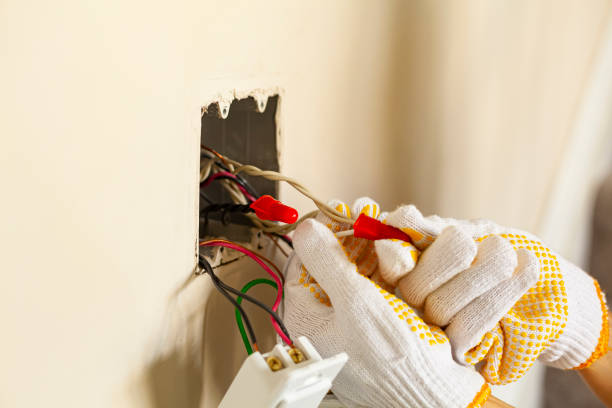 Why Trust Our Licensed Electricians for Your Electrical Needs in Pinellas Park, FL?